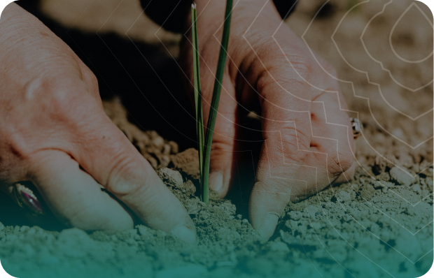 Kiến tạo cuộc
sống xanh